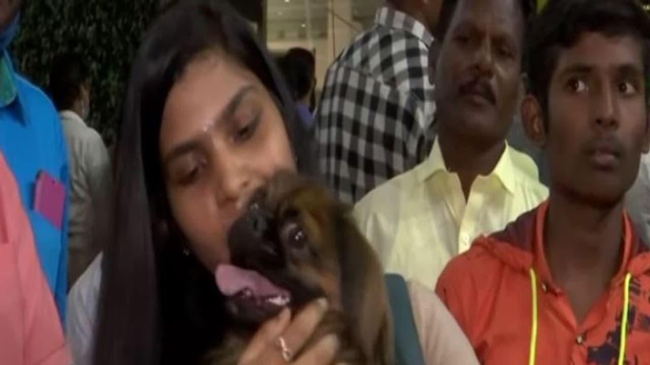 Russia Ukraine war: इंडियन स्टूडेंट्स की इंसानियत, कुत्ते को वापस लाने के लिए छात्रा ने छोड़ दी चार फ्लाइट Russia Ukraine war: इंडियन स्टूडेंट्स की इंसानियत, कुत्ते को वापस लाने के लिए छात्रा ने छोड़ दी चार फ्लाइट