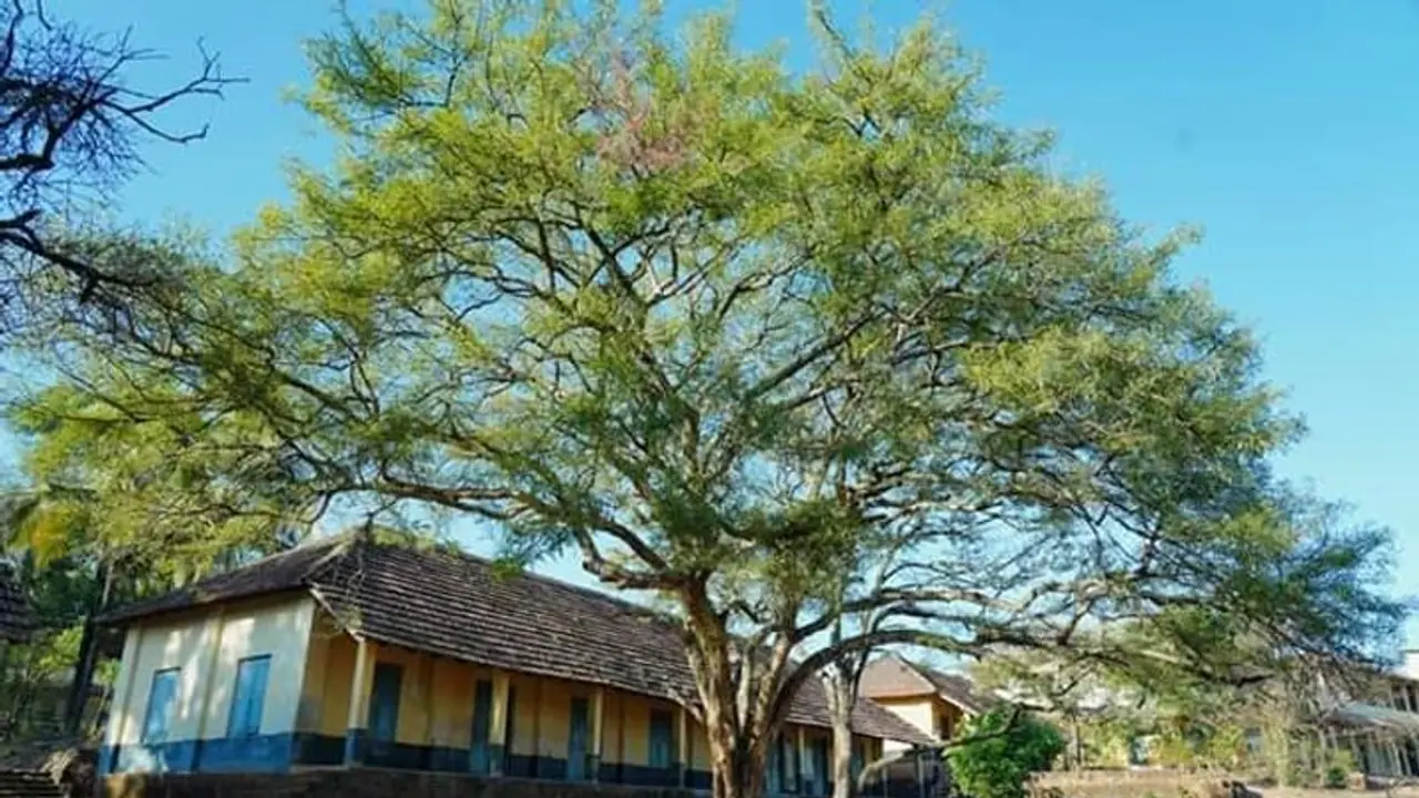 Mangalore ಕಾಸರಗೋಡು ಕನ್ನಡ ಶಾಲೆಗೆ ಮತ್ತೆ ಮಲಯಾಳಂ ಕಂಟಕ!