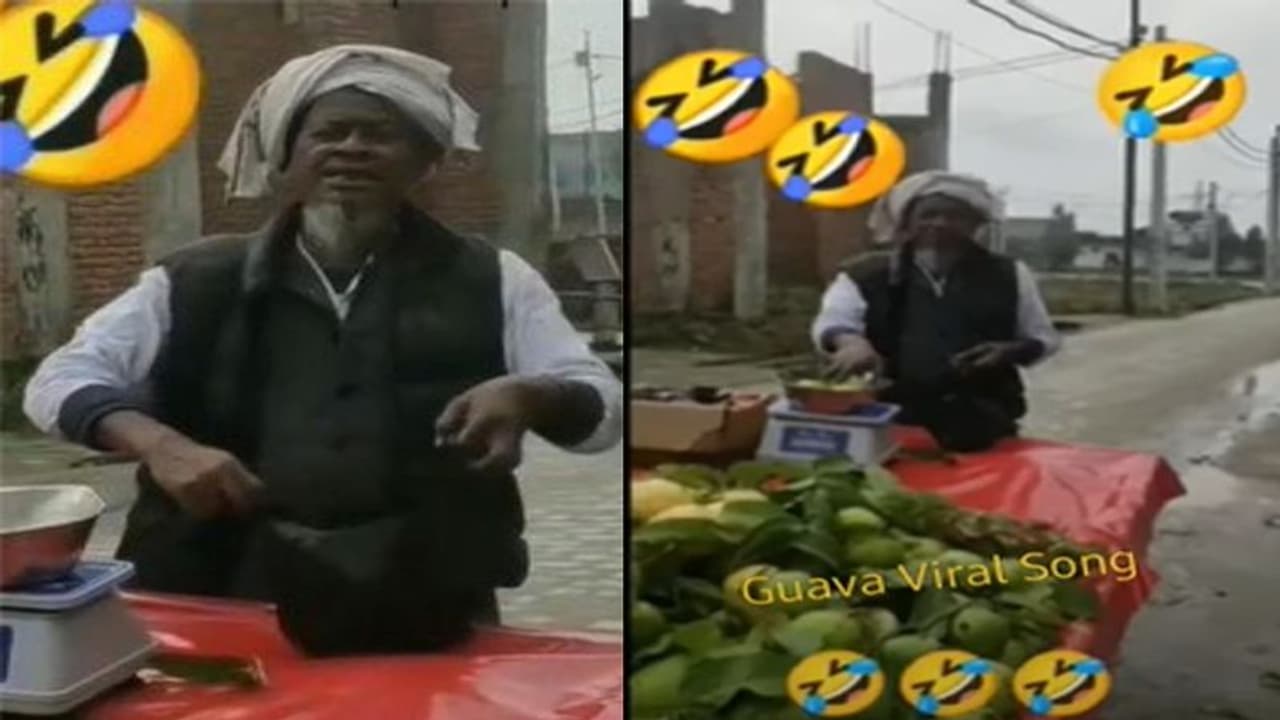 Viral Video: कच्चा बादाम के बाद सोशल मीडिया पर छाया अमरूद सॉग, देखें किस तरह नमक लगाकर बेच रहा हरी हरी जाम