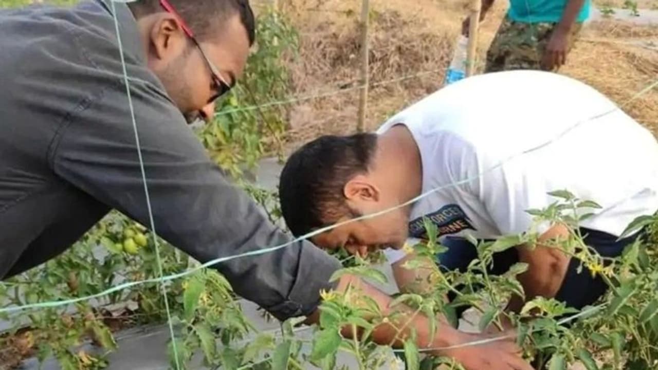 एक एकड़ में कमा सकते हैं 2.5 लाख तक का मुनाफा, धोनी भी करते हैं इस फसल की खेती एक एकड़ में कमा सकते हैं 2.5 लाख तक का मुनाफा, धोनी भी करते हैं इस फसल की खेती