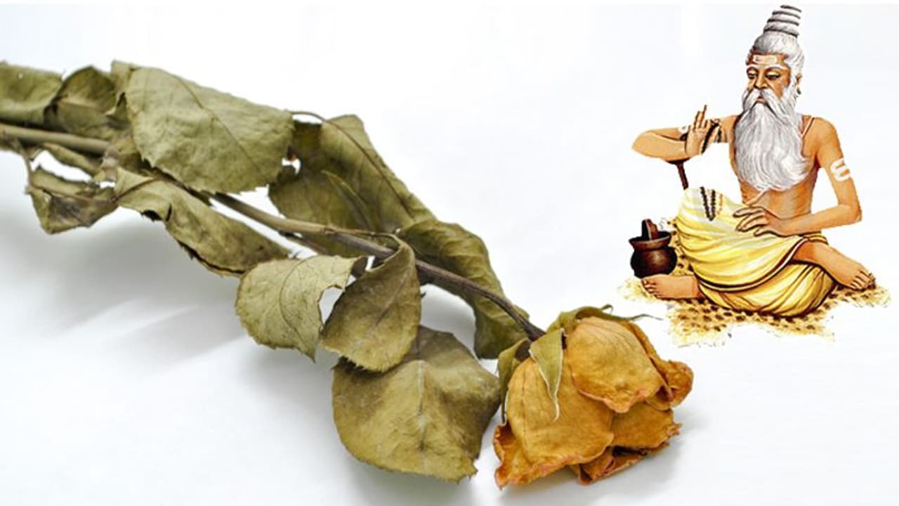 Life Management: गुरु ने शिष्यों से मंगवाई सूखी पत्तियां, लेकिन वो नहीं ला पाए, फिर बताई ये खास बात