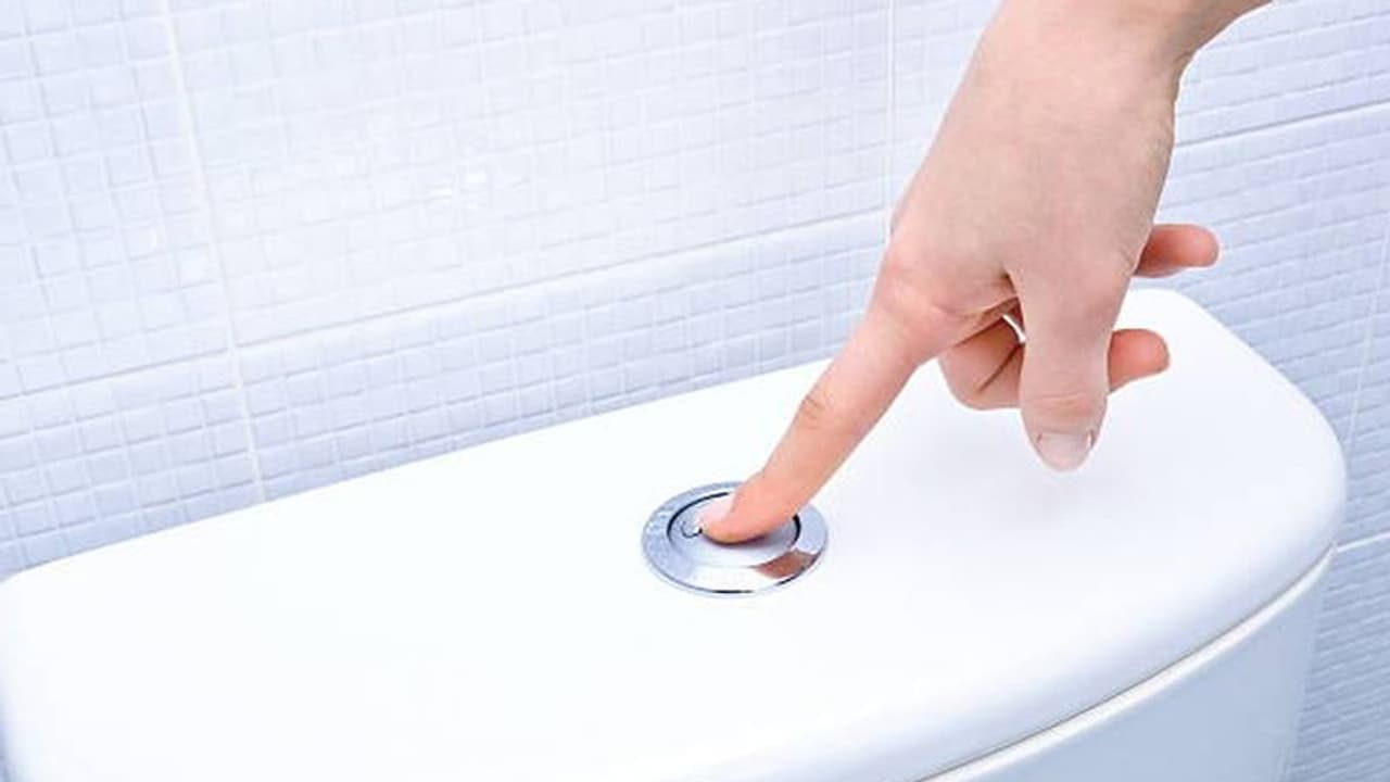 Weird Law: इन देशों में वॉशरूम को लेकर हैं कड़े नियम, रात 10 बजे के बाद किया फ्लश तो मिलती है सजा Weird Law: इन देशों में वॉशरूम को लेकर हैं कड़े नियम, रात 10 बजे के बाद किया फ्लश तो मिलती है सजा