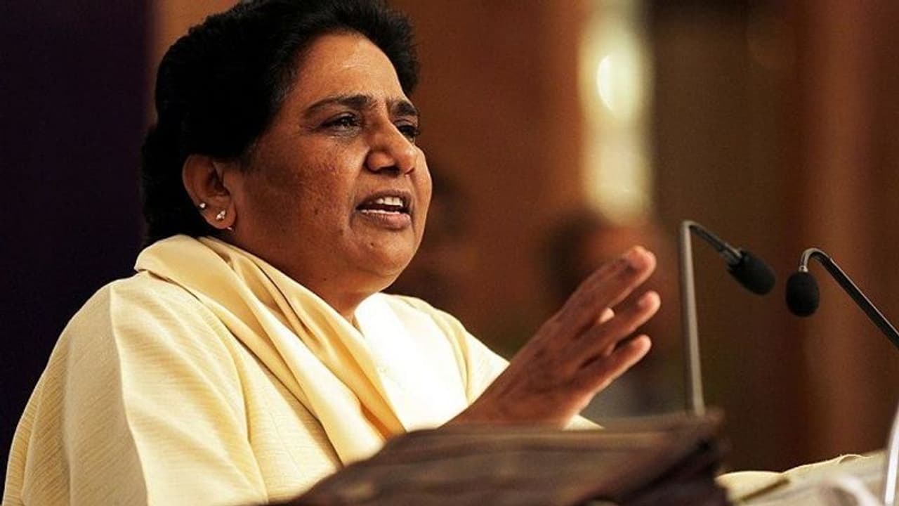 'Congress can't put its house in order, lying about offer': Mayawati hits back at Rahul Gandhi 