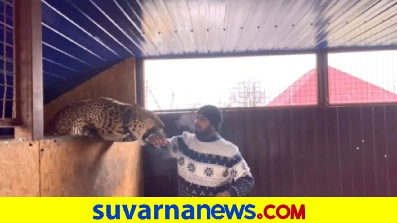 ಆಪರೇಷನ್‌ ಗಂಗಾ... ಉಕ್ರೇನ್‌ನಲ್ಲಿ ಸಾಕಿದ ಚಿರತೆ ಬಿಟ್ಟು ಬರಲಾರೆ ಎಂದ ವೈದ್ಯ