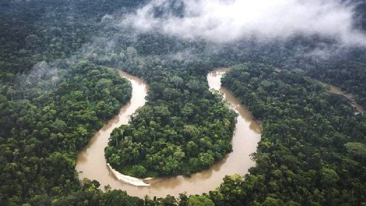 ആമസോൺ മഴക്കാടുകൾ നാശത്തിലേക്ക്, പ്രതീക്ഷിക്കുന്നതിലും വലിയ പ്രത്യാഘാതങ്ങളുണ്ടാവുമെന്ന് ഗവേഷകർ ആമസോൺ മഴക്കാടുകൾ നാശത്തിലേക്ക്, പ്രതീക്ഷിക്കുന്നതിലും വലിയ പ്രത്യാഘാതങ്ങളുണ്ടാവുമെന്ന് ഗവേഷകർ