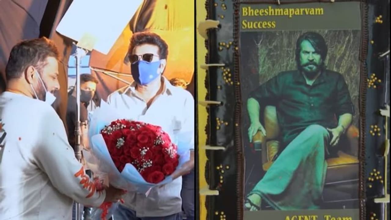 Bheeshma Parvam : ഇത് മൈക്കിളിന്റെയും കൂട്ടരുടേയും വിജയം; 'ഏജന്റ്' സെറ്റിൽ കേക്ക് മുറിച്ച് ആഘോഷിച്ച് മമ്മൂട്ടി Bheeshma Parvam : ഇത് മൈക്കിളിന്റെയും കൂട്ടരുടേയും വിജയം; 'ഏജന്റ്' സെറ്റിൽ കേക്ക് മുറിച്ച് ആഘോഷിച്ച് മമ്മൂട്ടി
