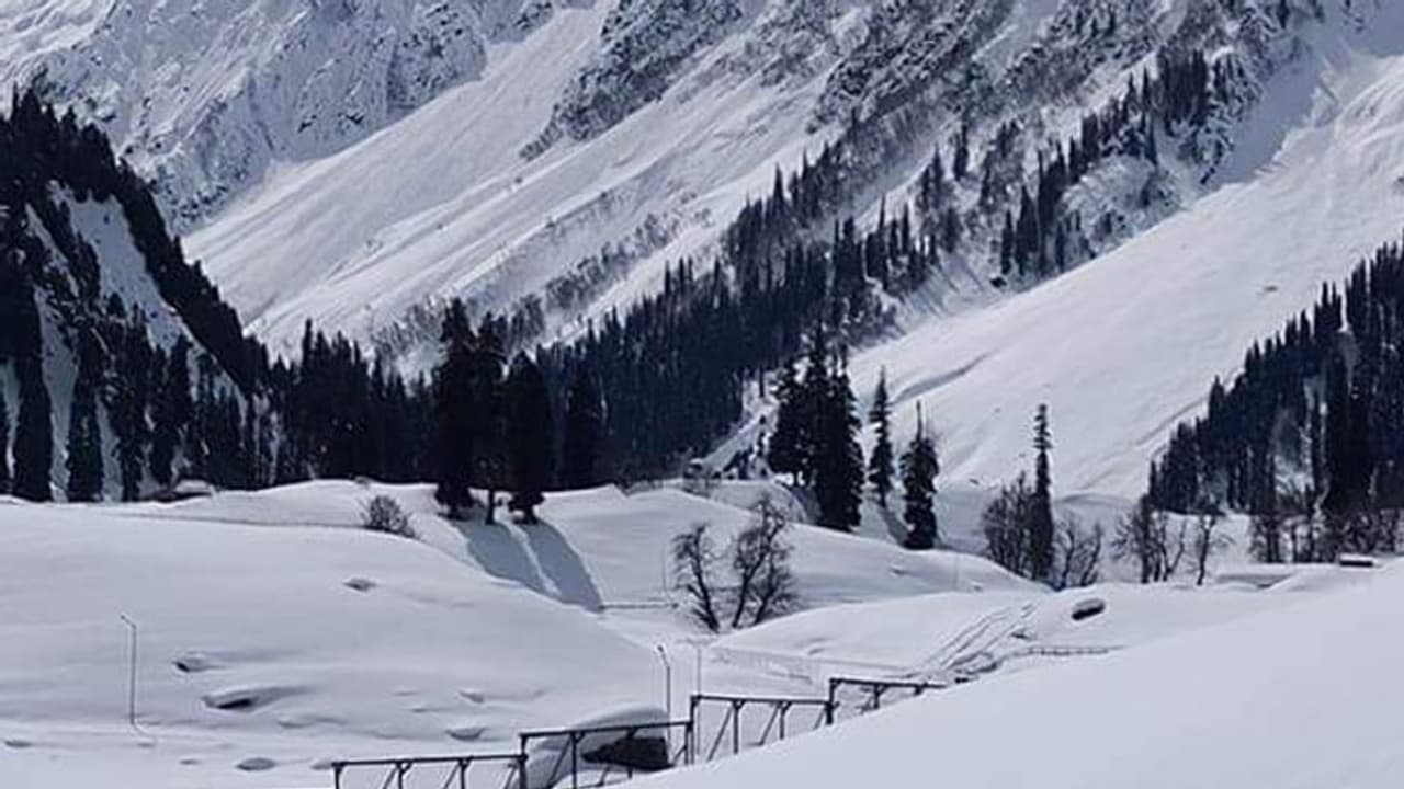 वेस्टर्न डिस्टर्बेंस ने बिगाड़ रखा है मौसम का मूड, बढ़ते टेम्परेचर के बीच कई राज्यों में बारिश का अलर्ट वेस्टर्न डिस्टर्बेंस ने बिगाड़ रखा है मौसम का मूड, बढ़ते टेम्परेचर के बीच कई राज्यों में बारिश का अलर्ट