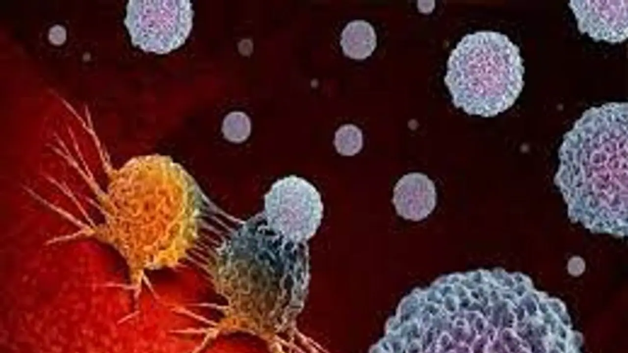 ആഗോള ക്യാൻസർ മരണങ്ങളുടെ പ്രധാനപ്പെട്ട കാരണങ്ങൾ ആഗോള ക്യാൻസർ മരണങ്ങളുടെ പ്രധാനപ്പെട്ട കാരണങ്ങൾ