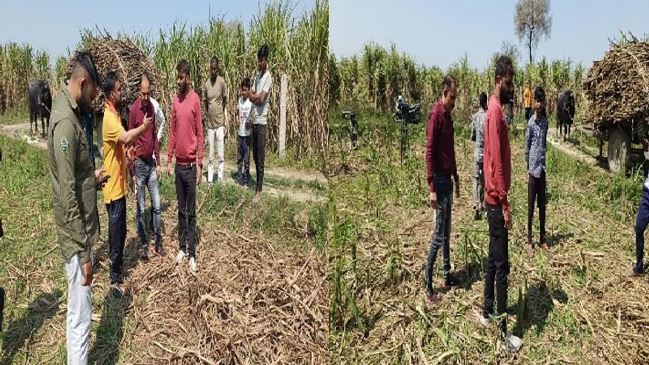 बागपत के जंगल में लगातार मिल रहे गोवंश कटान के अवशेष, हिन्दू जागरण मंच के कार्यकर्ताओं ने किया जमकर हंगामा बागपत के जंगल में लगातार मिल रहे गोवंश कटान के अवशेष, हिन्दू जागरण मंच के कार्यकर्ताओं ने किया जमकर हंगामा