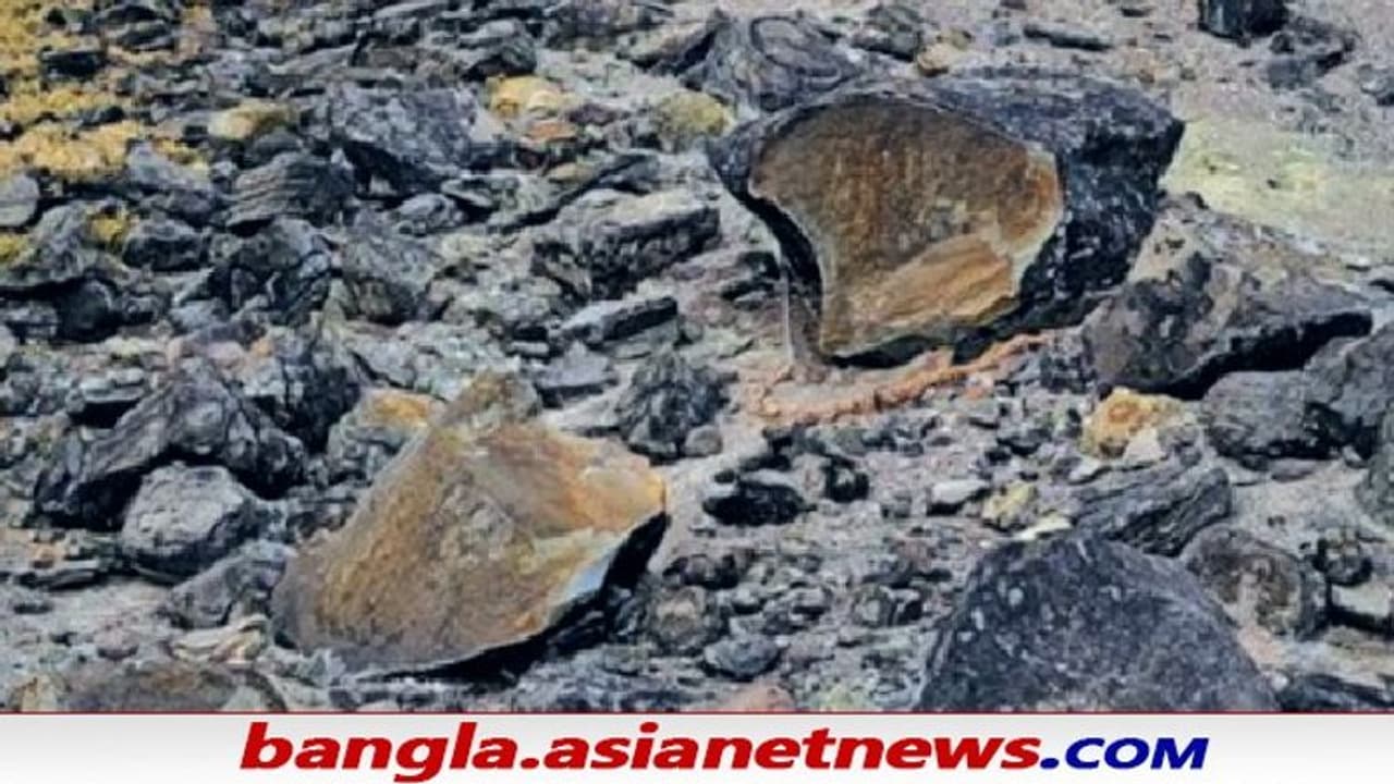 ভেঙে দুখণ্ড 'খুনে পাথর', বেরিয়ে গেল অশুভ আত্মা জাপান জুড়ে তীব্র আতঙ্ক ভয় ভেঙে দুখণ্ড 'খুনে পাথর', বেরিয়ে গেল অশুভ আত্মা জাপান জুড়ে তীব্র আতঙ্ক ভয়