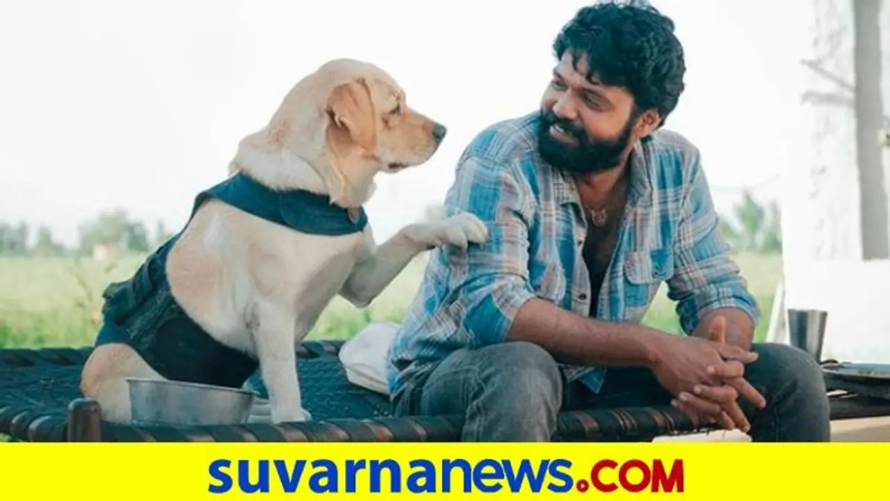 ಮುಂದಿನವಾರ 777 Charlie ರಿಲೀಸ್‌ ಡೇಟ್‌ ಘೋಷಣೆ : ಕಿರಣ್‌ರಾಜ್‌