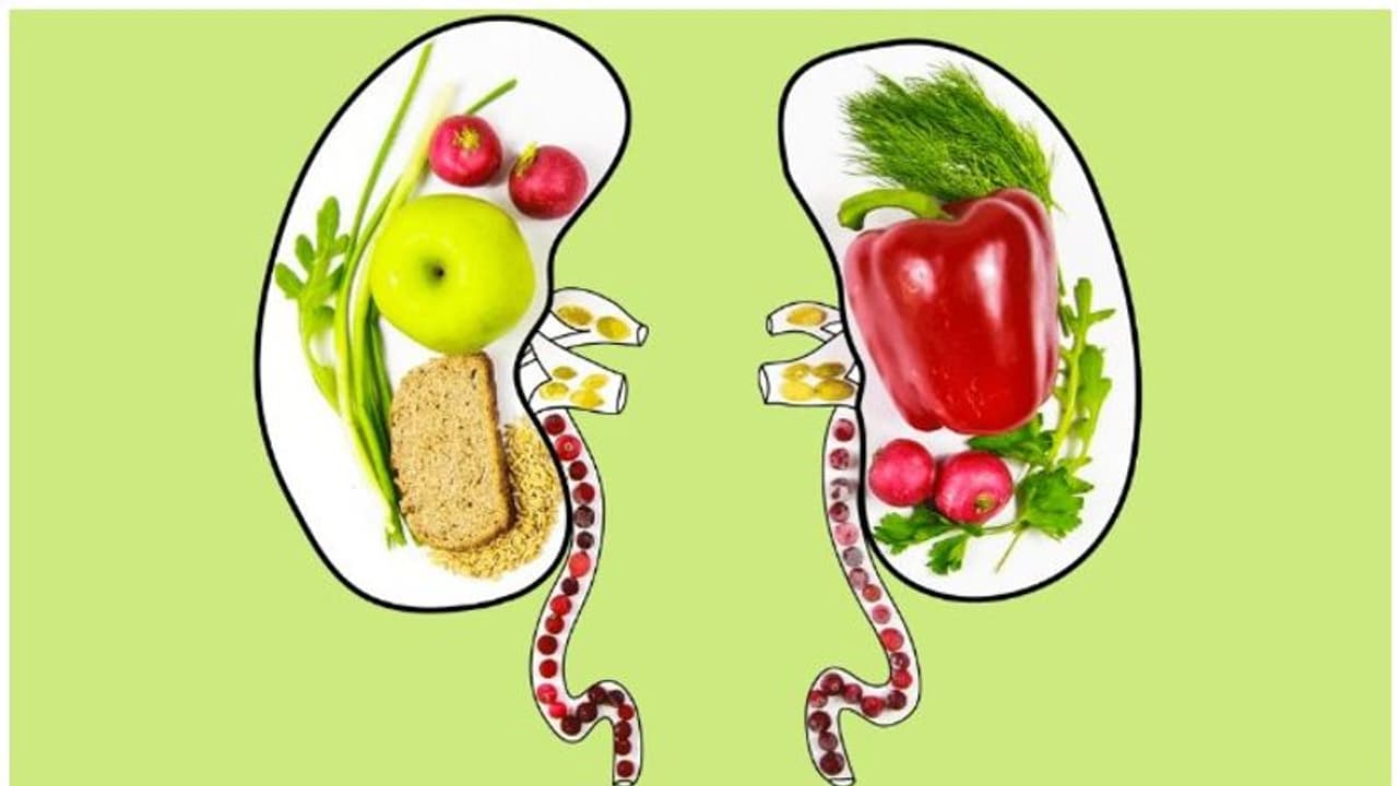 Foods for Kidney Health : വൃക്കരോഗമുള്ളവര്‍ ശ്രദ്ധിക്കൂ; ഈ ഭക്ഷണങ്ങൾ ഡയറ്റിൽ ഉൾപ്പെടുത്തൂ