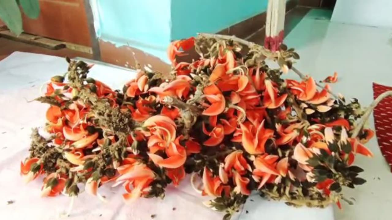 দুর্গা পুজোয় টাকার জায়গায় রাখুন এই ফুল হবে না অর্থের অভাব, আয় দ্রুত বাড়বে