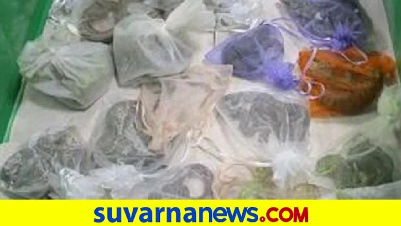 ಕಸ್ಟಮ್ಸ್‌ ಅಧಿಕಾರಿಗಳಿಗೆ ವ್ಯಕ್ತಿಯ ಬಟ್ಟೆಯೊಳಗೆ ಸಿಕ್ತು 52 ಜೀವಂತ ಹಾವು, ಹಲ್ಲಿ