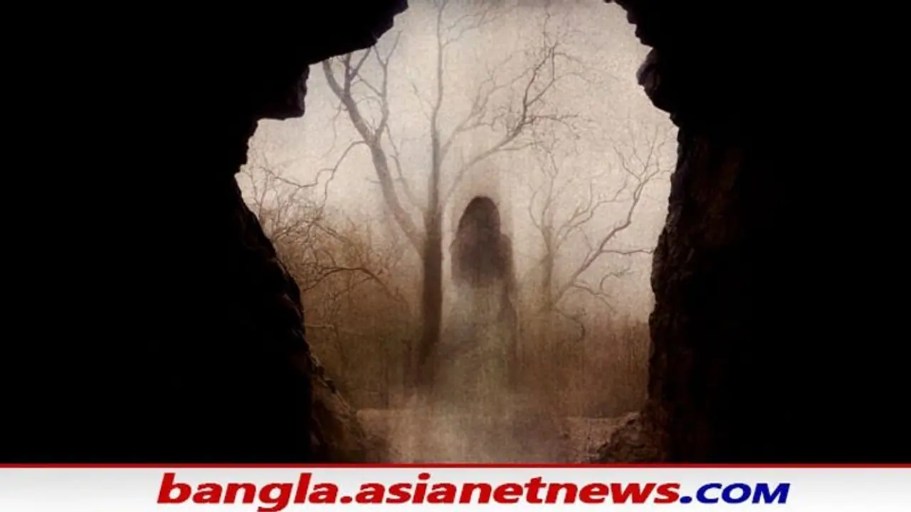 ক্যামেরায় ধরা পড়েছে 'ভুত' এর সবচেয়ে পরিস্কার ছবি, নেট দুনিয়া ভাইরাল সেই ছবি