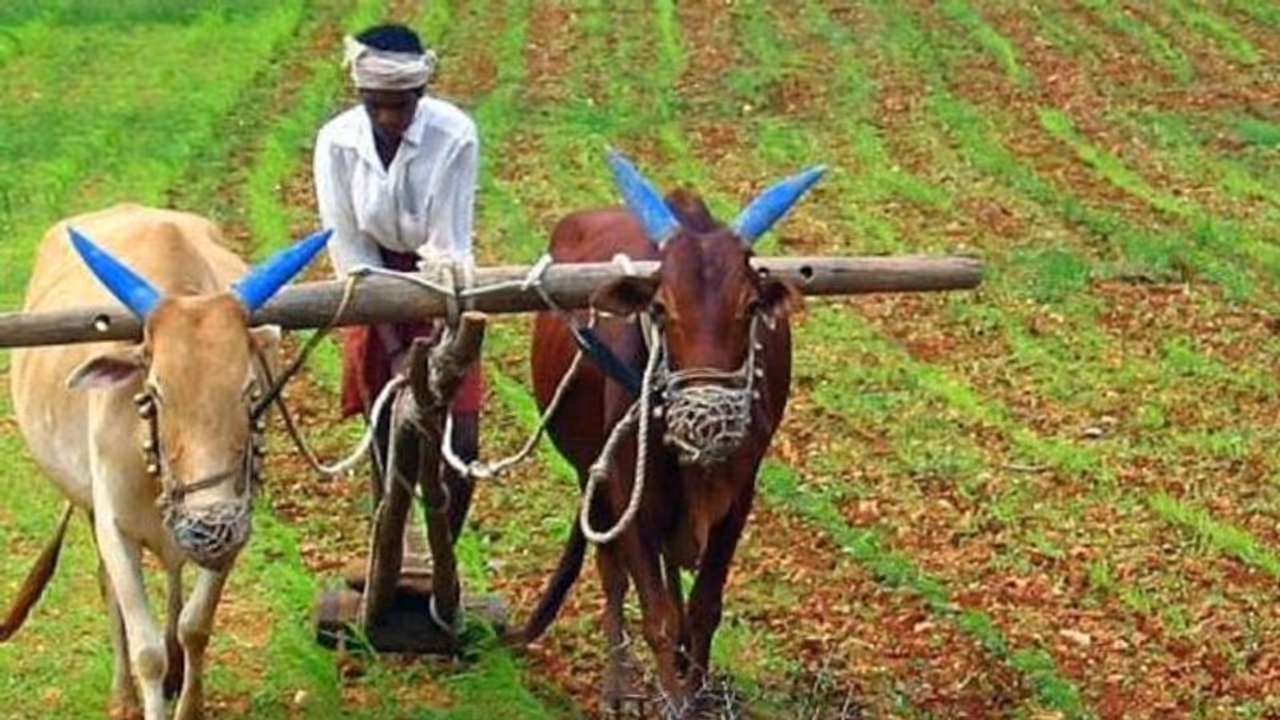 விவசாயிகளுக்கு பரிசு..யாரெல்லாம் பெறலாம்..? தமிழக அரசு ஆணை வெளியீடு.. விவசாயிகளுக்கு பரிசு..யாரெல்லாம் பெறலாம்..? தமிழக அரசு ஆணை வெளியீடு..