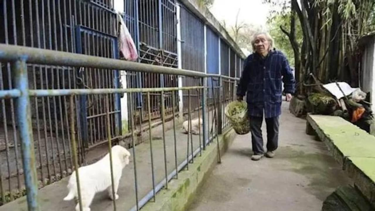 Luo Yingjiu : ലോകത്തേറ്റവും കരുണയുള്ള മനുഷ്യന് ഇതാണ്! Luo Yingjiu : ലോകത്തേറ്റവും കരുണയുള്ള മനുഷ്യന് ഇതാണ്!