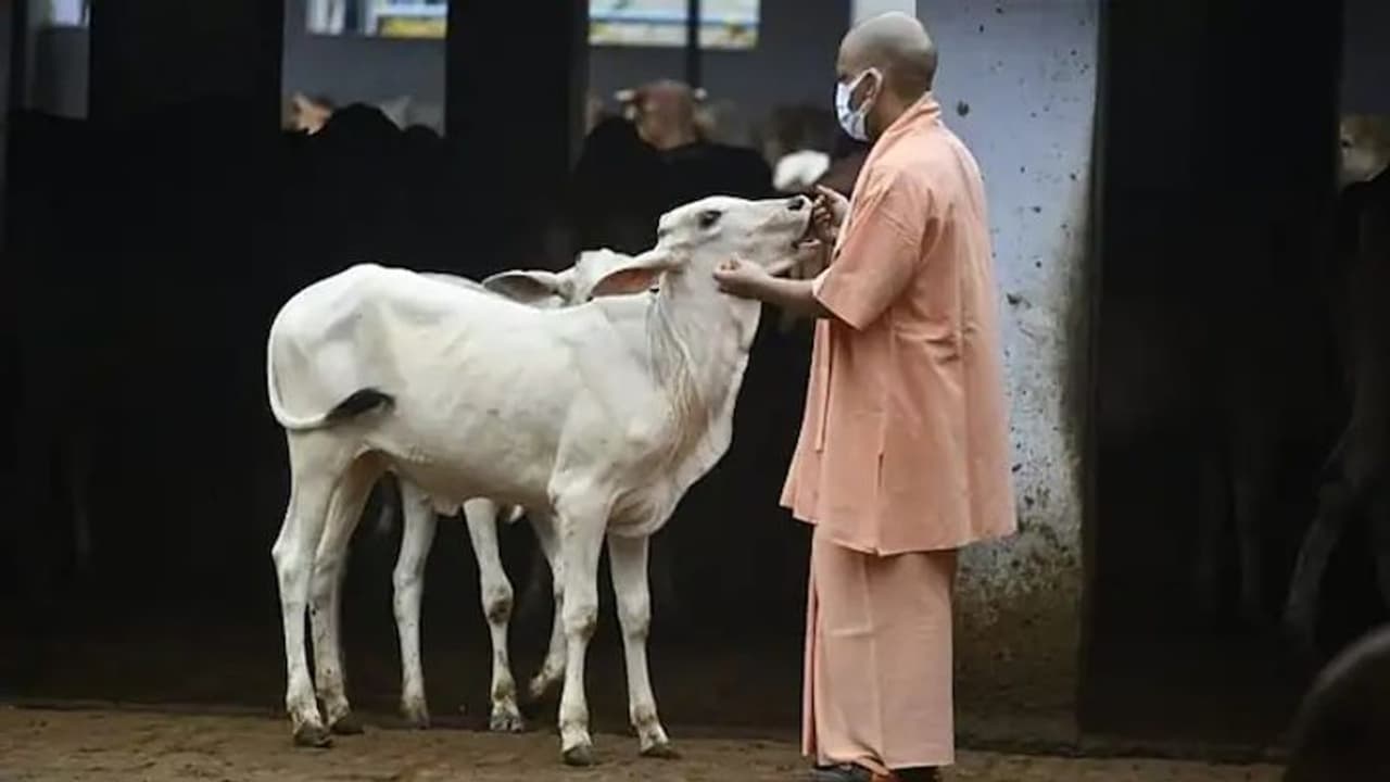 UP Chunav Result 2022: एशियानेट न्यूज ने 7 महीने पहले ही की थी बीजेपी के जीत की भविष्यवाणी