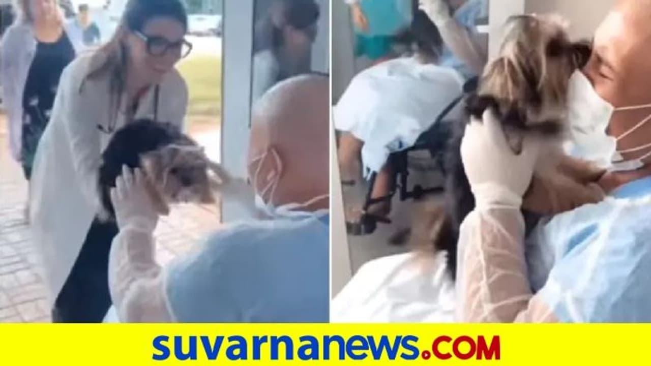 ಕ್ಯಾನ್ಸರ್ ಪೀಡಿತ ಮಹಿಳೆ ಹಾಗೂ ಶ್ವಾನದ ಭಾವುಕ ಪುನರ್ಮಿಲನ: ವಿಡಿಯೋ