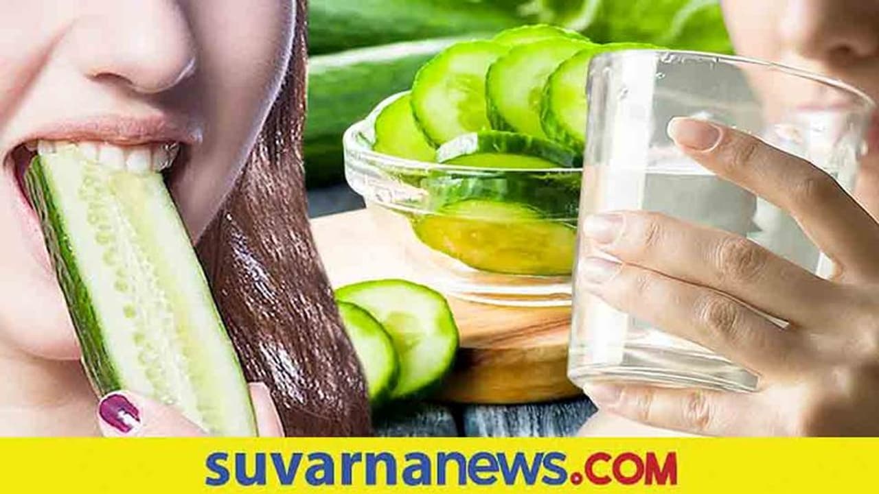 Summer Health : ಸೌತೆಕಾಯಿ ತಿಂದಾಕ್ಷಣ ನೀರು ಕುಡಿಯೋದು ಅಪಾಯ! Summer Health : ಸೌತೆಕಾಯಿ ತಿಂದಾಕ್ಷಣ ನೀರು ಕುಡಿಯೋದು ಅಪಾಯ!