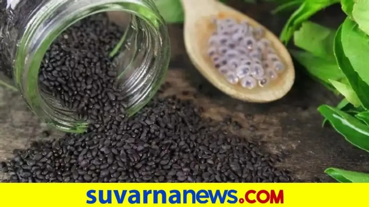 Kama Kasturi: ಬಿಸಿಲ ಧಗೆಯಿಂದ ಆರೋಗ್ಯ ಸಮಸ್ಯೆನಾ ? ಸಬ್ಜಾ ಬೀಜ ತಿನ್ನಿ ಸಾಕು Kama Kasturi: ಬಿಸಿಲ ಧಗೆಯಿಂದ ಆರೋಗ್ಯ ಸಮಸ್ಯೆನಾ ? ಸಬ್ಜಾ ಬೀಜ ತಿನ್ನಿ ಸಾಕು