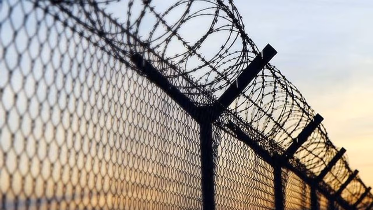 New 'Made in India' system to detect border intrusion