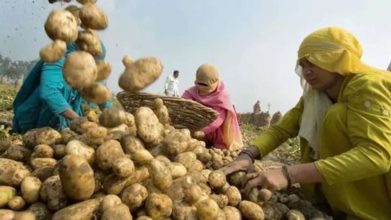 ആഗോള ഭക്ഷ്യപ്രതിസന്ധി മറികടക്കാൻ ഐ2യു2; ഇന്ത്യയിൽ കാർഷിക പാർക്കുകൾ സ്ഥാപിക്കാൻ യുഎഇ നിക്ഷേപമിറക്കും ആഗോള ഭക്ഷ്യപ്രതിസന്ധി മറികടക്കാൻ ഐ2യു2; ഇന്ത്യയിൽ കാർഷിക പാർക്കുകൾ സ്ഥാപിക്കാൻ യുഎഇ നിക്ഷേപമിറക്കും