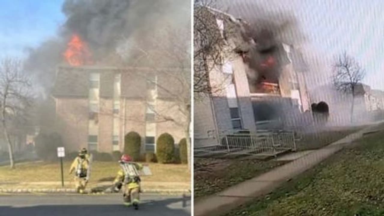 जांबाज पिता! बच्चे का जान बचाने दूसरी मंजिल से बेटे को फेंका, देखें दांतों तले उंगली दबाने वाला ये वीडियो जांबाज पिता! बच्चे का जान बचाने दूसरी मंजिल से बेटे को फेंका, देखें दांतों तले उंगली दबाने वाला ये वीडियो