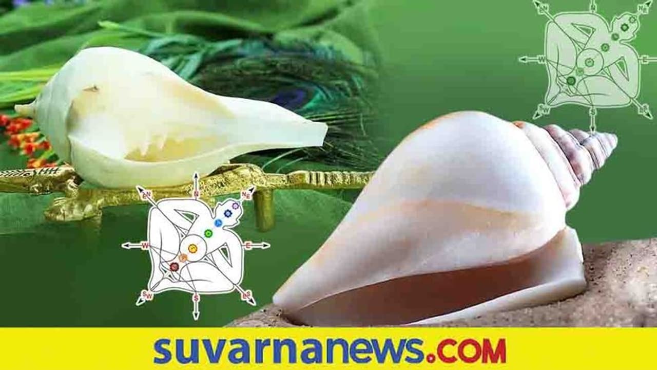 ಹಣಕಾಸು ಸಮೃದ್ಧಿಗೆ ಮನೆಯಲ್ಲಿರಲಿ ಈ ಶಂಖ!