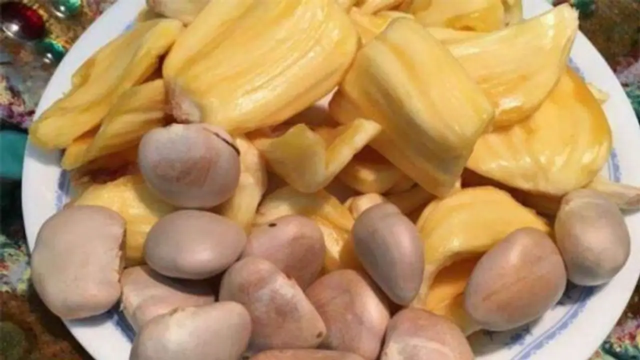 பாலுணர்வு பிரச்னைக்கு பாலமிடும் பலாப்பழ கொட்டைகள்..!! பாலுணர்வு பிரச்னைக்கு பாலமிடும் பலாப்பழ கொட்டைகள்..!!