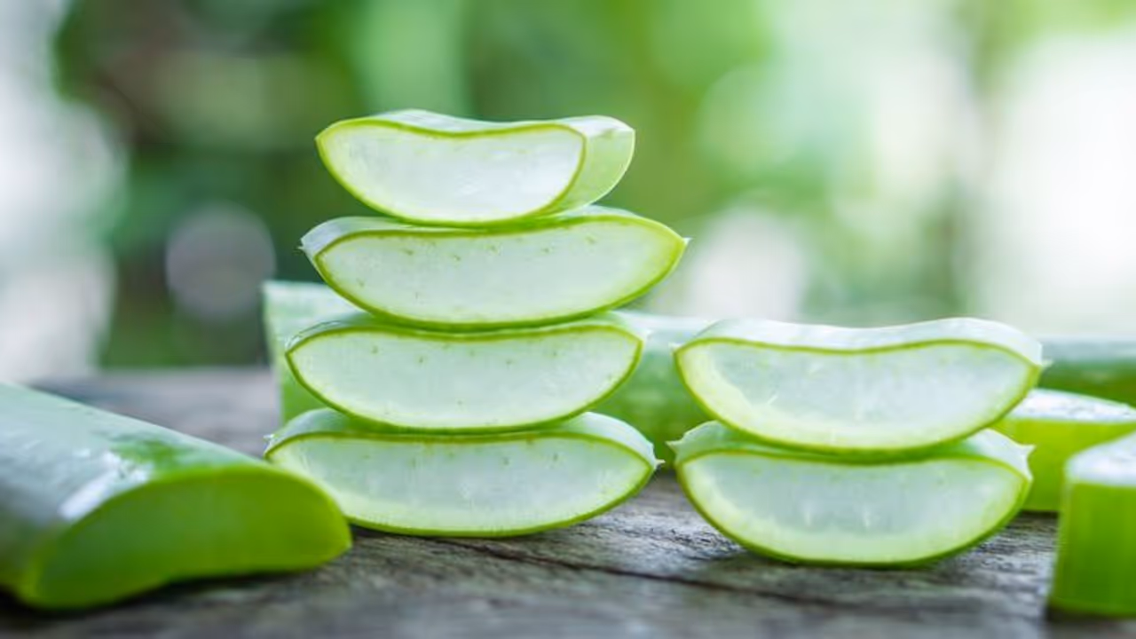 മുഖസൗന്ദര്യത്തിന് കറ്റാർവാഴ ഇങ്ങനെ ഉപയോ​ഗിച്ച് നോക്കൂ 