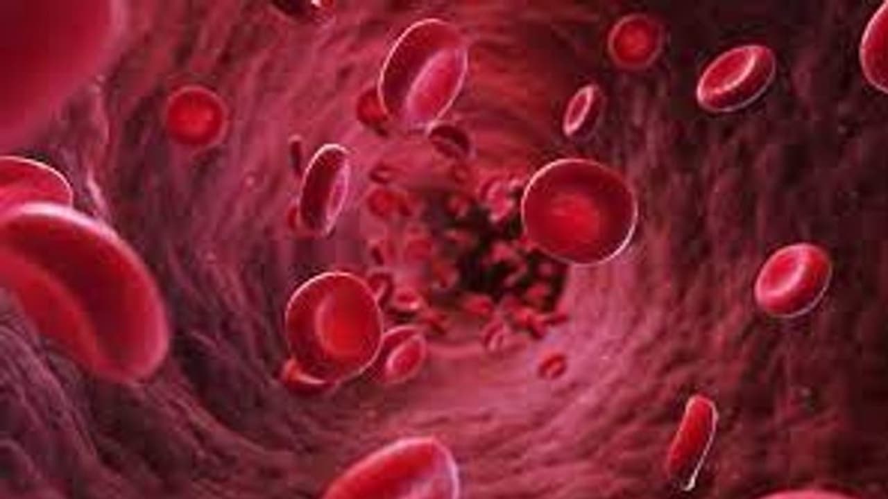 രക്താര്ബുദം ; ഈ 8 ലക്ഷണങ്ങൾ അവഗണിക്കരുത് രക്താര്ബുദം ; ഈ 8 ലക്ഷണങ്ങൾ അവഗണിക്കരുത്