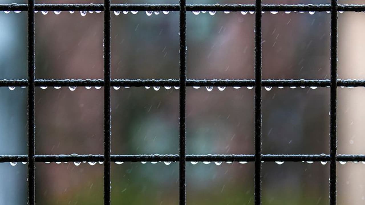 Tragedy: అన్నయ్యను చంపాను.. శిక్ష వేయండి.. నింద మీద వేసుకున్న ఆ వ్యక్తి స్టోరీతో కంటతడి పెట్టుకున్న పోలీసులు Tragedy: అన్నయ్యను చంపాను.. శిక్ష వేయండి.. నింద మీద వేసుకున్న ఆ వ్యక్తి స్టోరీతో కంటతడి పెట్టుకున్న పోలీసులు