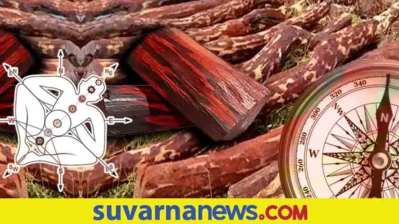 Vastu Remedies: ಕೆಂಪುಚಂದನದ ಈ ಪರಿಹಾರಗಳು ಎಷ್ಟೆಲ್ಲ ಸಮಸ್ಯೆ ನೀಗಿಸುತ್ತವೆ ಗೊತ್ತಾ?