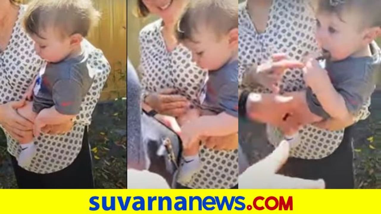 Viral Video: ಜೀವಂತ ಹಲ್ಲಿಯನ್ನು ತಿನ್ನಲು ಮುಂದಾದ ಮಗು. ಮುಂದೆ ಆಗಿದ್ದೇನು ? Viral Video: ಜೀವಂತ ಹಲ್ಲಿಯನ್ನು ತಿನ್ನಲು ಮುಂದಾದ ಮಗು. ಮುಂದೆ ಆಗಿದ್ದೇನು ?