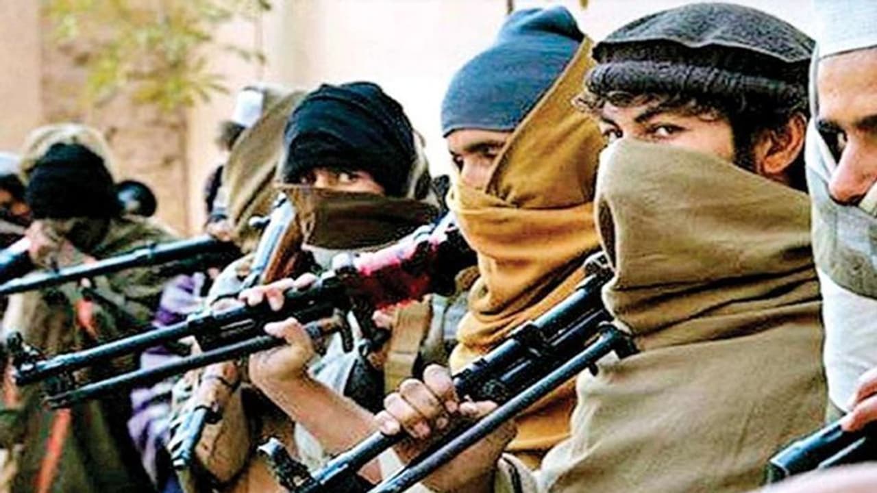 बड़ी खबर: भोपाल से पकड़ाए 6 आतंकी, थाने से 200 मीटर दूर बना रखा था आशियाना..पुलिस ने गोली चलाकर खोला दरवाजा बड़ी खबर: भोपाल से पकड़ाए 6 आतंकी, थाने से 200 मीटर दूर बना रखा था आशियाना..पुलिस ने गोली चलाकर खोला दरवाजा