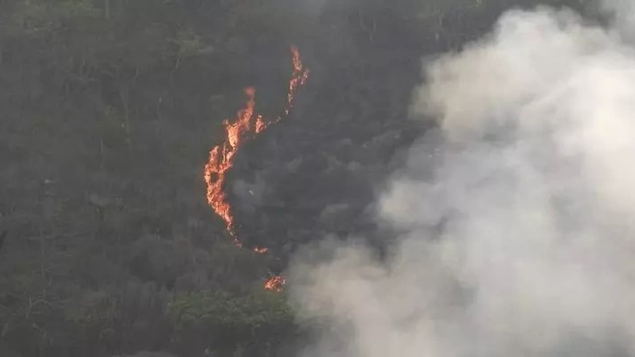 கொளுந்து விட்டு எரியும் காட்டுத்தீ.. அணைக்க முடியாமல் திணறும் வீரர்கள்.. ஆயிரக்கணக்கான மரங்கள் எரிந்து நாசம்