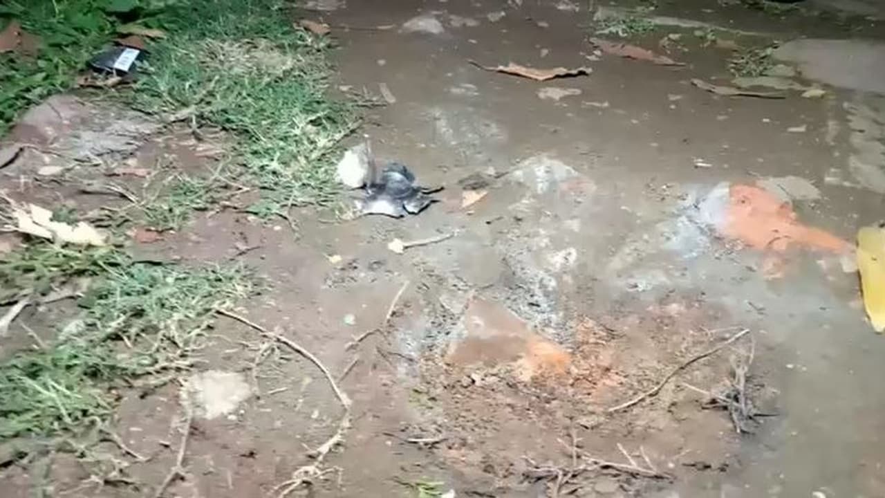 জল তুলতে গিয়ে বোমার আঘাতে জখম ২ মহিলা, বোমাবাজিকে কেন্দ্র করে উত্তপ্ত ভাটপাড়া