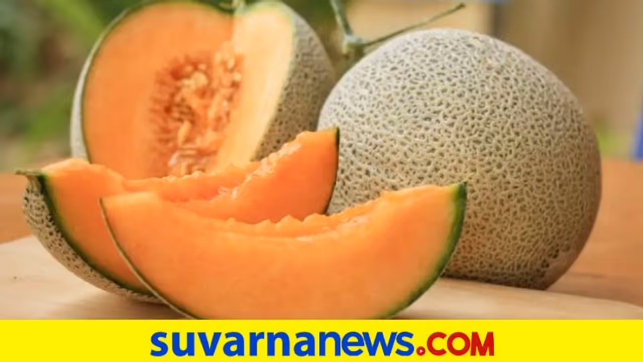 Health Tips: ಮಲಬದ್ಧತೆ ಸಮಸ್ಯೆನಾ ? ಕರಬೂಜ ತಿನ್ನಿ ಸಾಕು Health Tips: ಮಲಬದ್ಧತೆ ಸಮಸ್ಯೆನಾ ? ಕರಬೂಜ ತಿನ್ನಿ ಸಾಕು