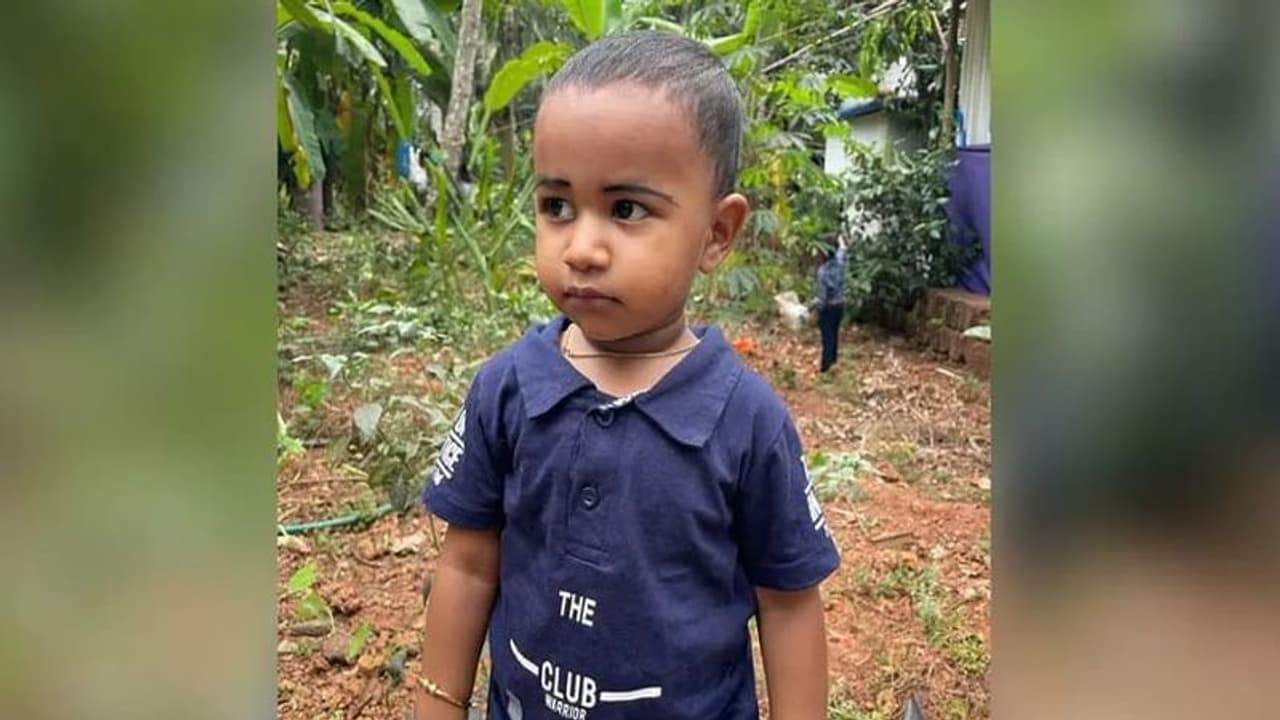 Rat Poison : എലിവിഷത്തിന്റെ ഉപേക്ഷിച്ച ട്യൂബെടുത്ത് വായില് തേച്ച മൂന്നു വയസുകാരന് മരിച്ചു Rat Poison : എലിവിഷത്തിന്റെ ഉപേക്ഷിച്ച ട്യൂബെടുത്ത് വായില് തേച്ച മൂന്നു വയസുകാരന് മരിച്ചു