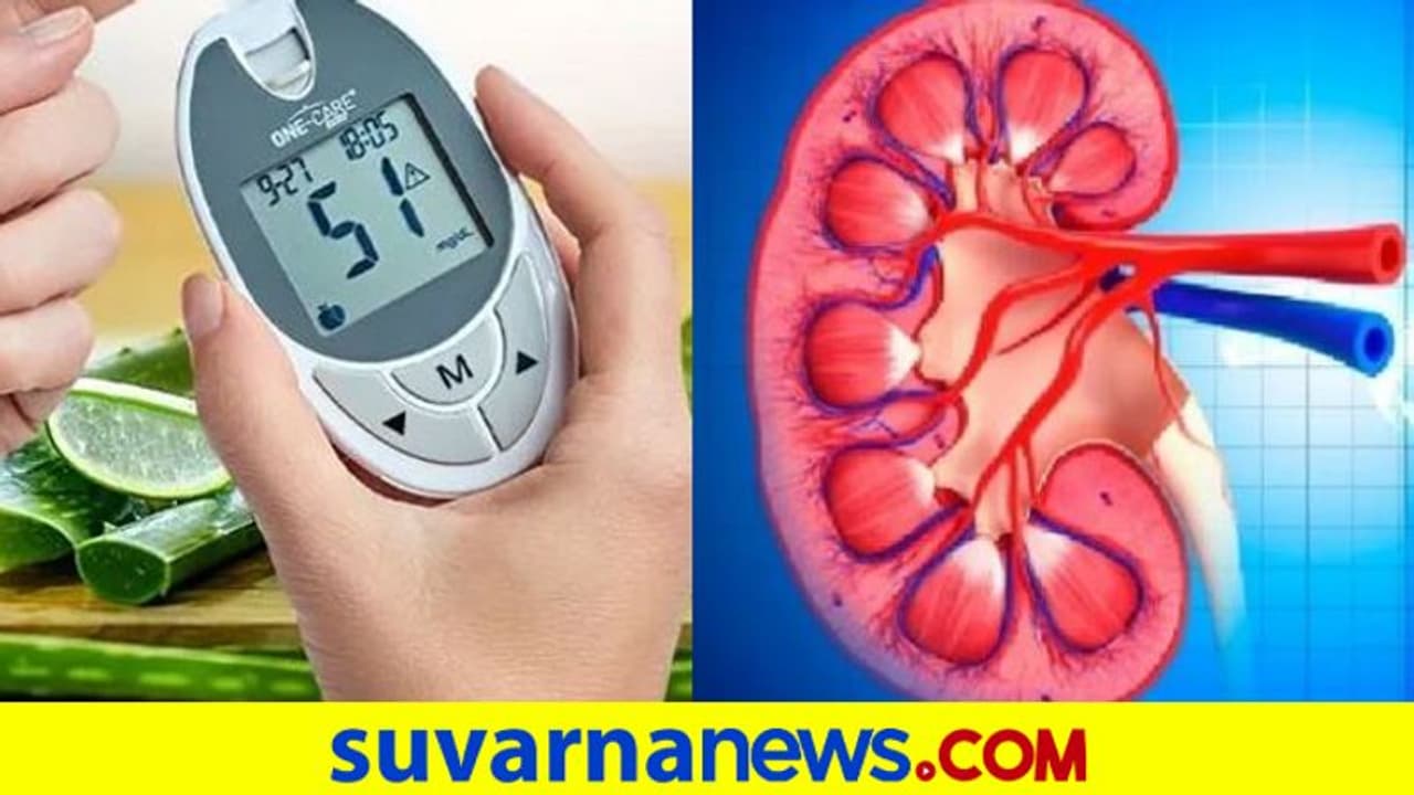 Health Tips: ಮಧುಮೇಹಿಗಳಿಗೆ ಅಪಾಯಕಾರಿ ಮೂತ್ರಪಿಂಡದ ಕಾಯಿಲೆ! Health Tips: ಮಧುಮೇಹಿಗಳಿಗೆ ಅಪಾಯಕಾರಿ ಮೂತ್ರಪಿಂಡದ ಕಾಯಿಲೆ!