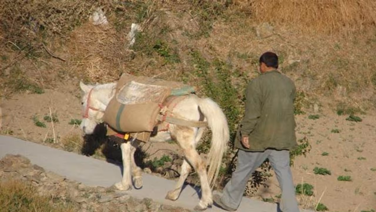 पिता और बेटा गधे पर बैठकर जा रहे थे, लोगों ने कहा ’कितने निर्दयी है, दोनों पैदल चलने लगे…फिर क्या हुआ? पिता और बेटा गधे पर बैठकर जा रहे थे, लोगों ने कहा ’कितने निर्दयी है, दोनों पैदल चलने लगे…फिर क्या हुआ?