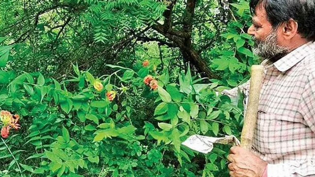 Jungle Paradise : എത്ര വില കൊടുത്താലും ആര്ക്കും വാങ്ങാന് കഴിയാത്ത 70 ഏക്കര് ഭൂമി! Jungle Paradise : എത്ര വില കൊടുത്താലും ആര്ക്കും വാങ്ങാന് കഴിയാത്ത 70 ഏക്കര് ഭൂമി!