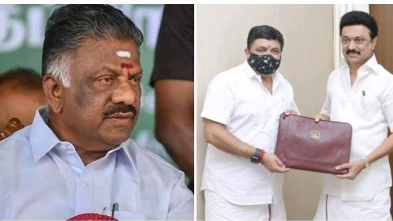 மகளிர் உரிமைத் தொகை ரூ.1000 வழங்குவதாக மக்களை ஏமாற்றிய திமுக...! ஓபிஎஸ் குற்றச்சாட்டு