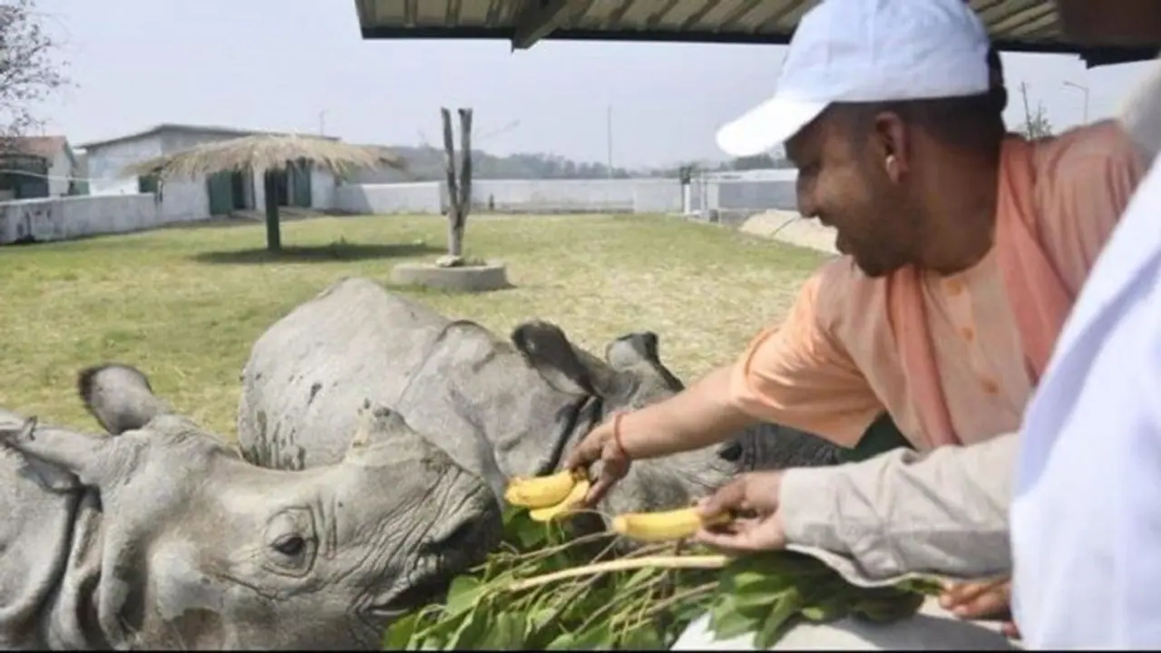 योगी आदित्यनाथ की आवाज पर झूमती चली आई 'हर और गौरी', इस नए अंदाज में किया गया स्वागत योगी आदित्यनाथ की आवाज पर झूमती चली आई 'हर और गौरी', इस नए अंदाज में किया गया स्वागत