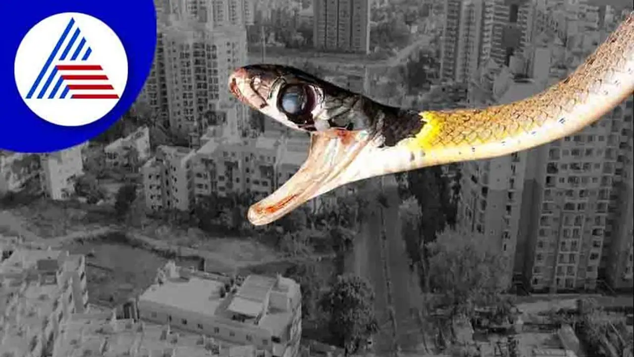 Bengaluru: ಹಾವುಗಳ ಕಾಟಕ್ಕೆ ಬೆಚ್ಚಿ ಬಿದ್ದ ಬೆಂಗಳೂರಿಗರು!