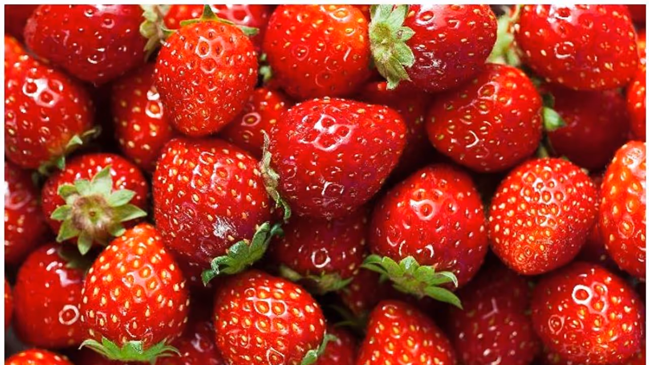 അറിയാം സ്ട്രോബെറി കഴിച്ചാലുള്ള ആരോഗ്യഗുണങ്ങളെ കുറിച്ച്... അറിയാം സ്ട്രോബെറി കഴിച്ചാലുള്ള ആരോഗ്യഗുണങ്ങളെ കുറിച്ച്...