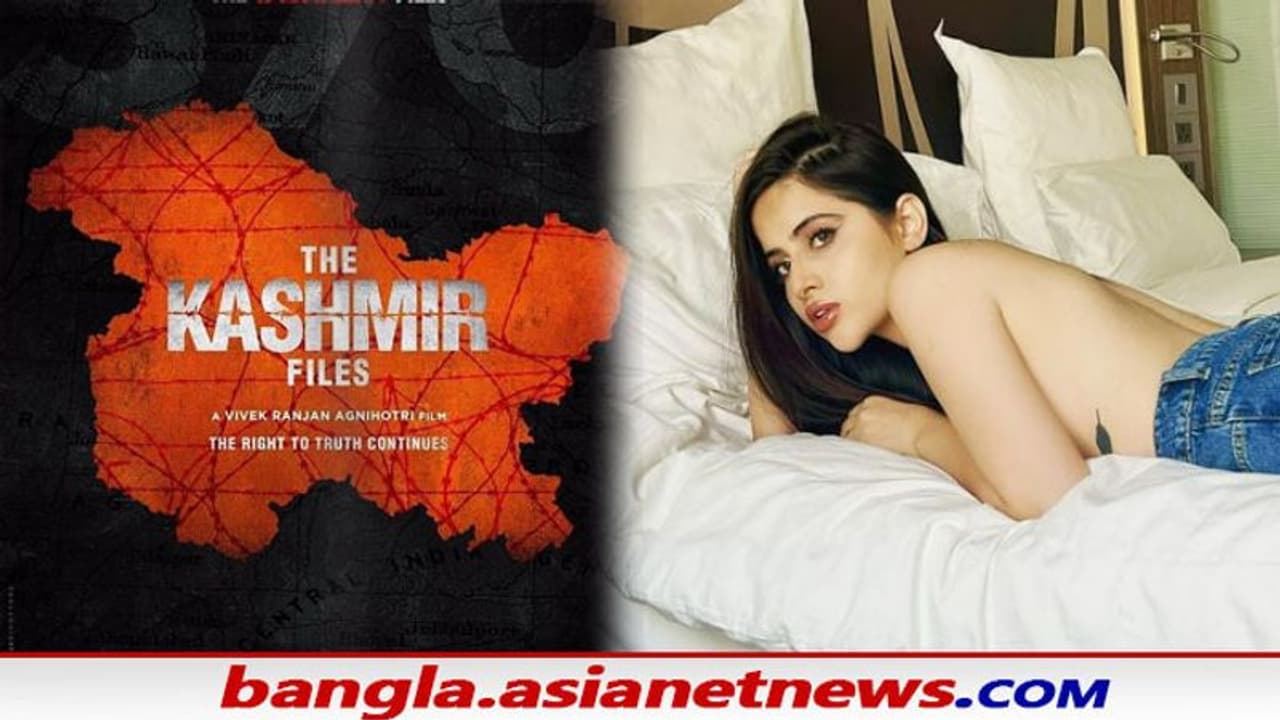 কাশ্মীর ফাইলসের সমর্থনে সুর চড়ালেন উরফি, কাশ্মীরি পণ্ডিতদের দুর্দশা নিয়ে দিলেন পোস্ট কাশ্মীর ফাইলসের সমর্থনে সুর চড়ালেন উরফি, কাশ্মীরি পণ্ডিতদের দুর্দশা নিয়ে দিলেন পোস্ট