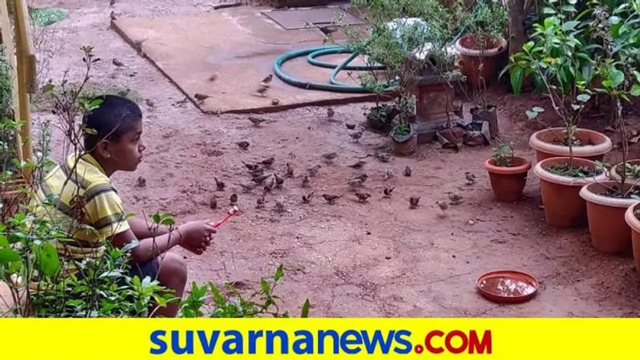 World Sparrow Day: ಕಣ್ಮರೆಯಾಗುತ್ತಿರುವ ಗುಬ್ಬಚ್ಚಿಗಳಿಗೆ ಆಶ್ರಯ ನೀಡಿದ ಶಿವಪ್ರಸಾದ್ ಫ್ಯಾಮಿಲಿ