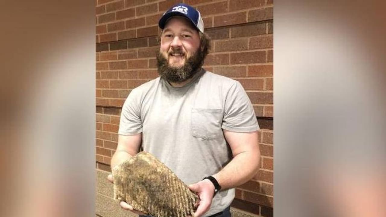 നിർമ്മാണം നടക്കുന്ന സൈറ്റിൽ 20,000 വർഷം പഴക്കമുള്ളൊരു പല്ല്! നിർമ്മാണം നടക്കുന്ന സൈറ്റിൽ 20,000 വർഷം പഴക്കമുള്ളൊരു പല്ല്!